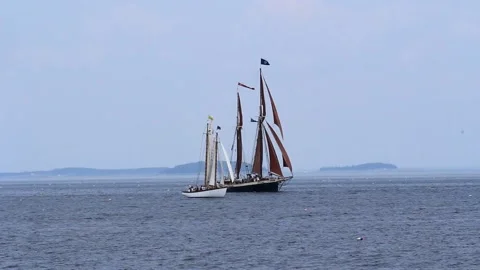 Tall Ship Windjammer Parade Stock Footage 172602733