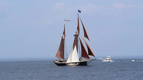 Tall Ship Windjammer Parade Stock Footage 172602738