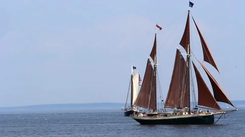 Tall Ship Windjammer Parade Stock Footage 172602935