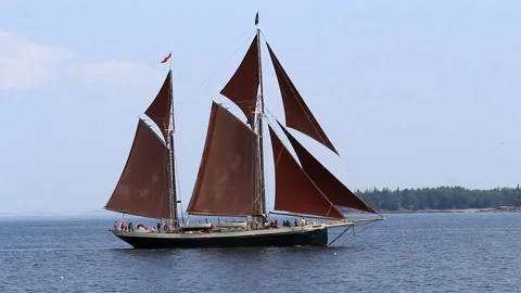 Tall Ship Windjammer Parade Stock Footage 172602939