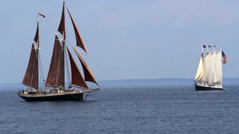 Tall Ship Windjammer Parade Stock Footage 172603091
