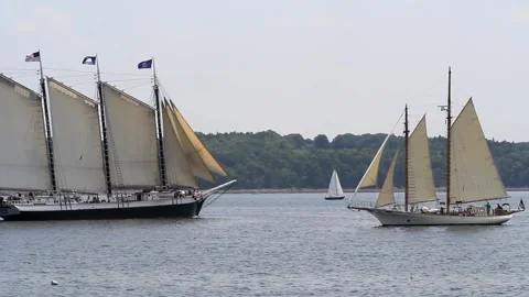 Tall Ship Windjammer Parade Stock Footage 172604544