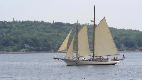 Tall Ship Windjammer Parade Stock Footage 172604629