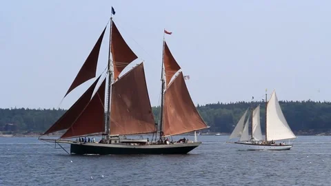Tall Ship Windjammer Parade Stock Footage 172604669