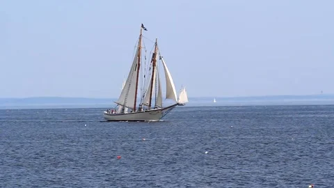 Tall Ship Windjammer Parade Stock Footage 172604765