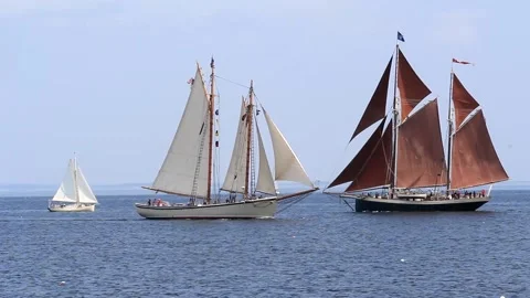 Tall Ship Windjammer Parade Stock Footage 172605082
