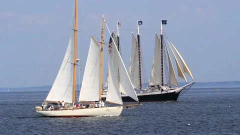 Tall Ship Windjammer Parade Stock Footage 172605339
