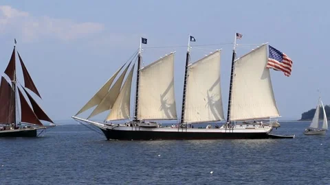Tall Ship Windjammer Parade Stock Footage 172605506