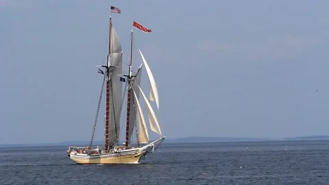 Tall Ship Windjammer Parade Stock Footage 172605612