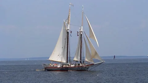 Tall Ship Windjammer Parade Stock Footage 172605617
