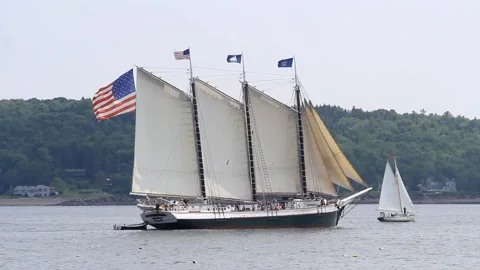Tall Ship Windjammer Parade Stock Footage 172605739