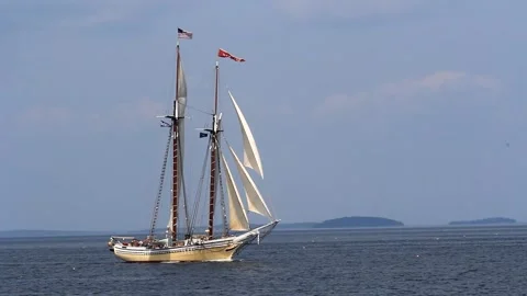 Tall Ship Windjammer Parade Stock Footage 172605955