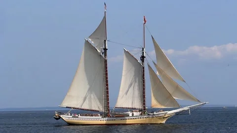 Tall Ship Windjammer Parade Stock Footage 172606221