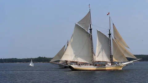 Tall Ship Windjammer Parade Stock Footage 172606222