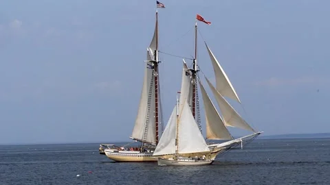 Tall Ship Windjammer Parade Stock Footage 172606296