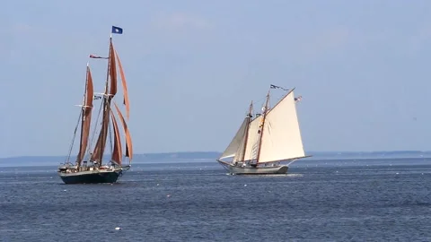 Tall Ship Windjammer Parade Stock Footage 172606909