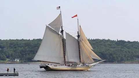 Tall Ship Windjammer Parade Stock Footage 172606915