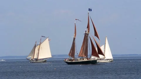 Tall Ship Windjammer Parade Stock Footage 172607047