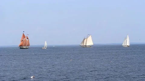 Tall Ship Windjammer Parade Stock Footage 172607049