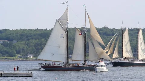 Tall Ship Windjammer Parade Stock Footage 172607944