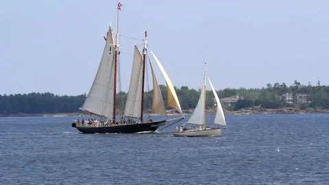 Tall Ship Windjammer Parade Stock Footage 172608092