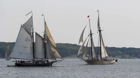 Tall Ship Windjammer Parade Stock Footage 172608104