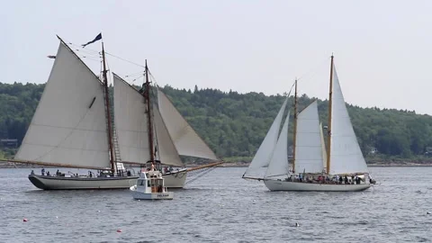 Tall Ship Windjammer Parade Stock Footage 172608393
