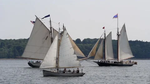 Tall Ship Windjammer Parade Stock Footage 172608749