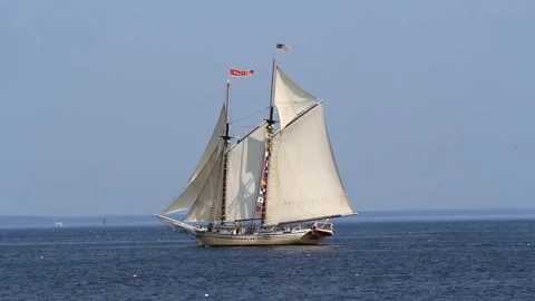 Tall Ship Windjammer Parade Stock Footage 172608758