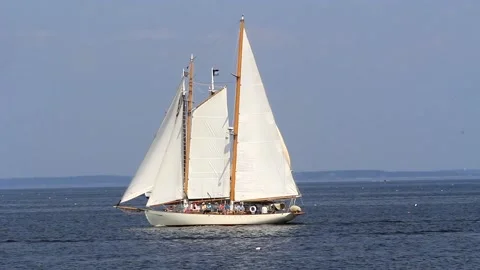 Tall Ship Windjammer Parade Stock Footage 172608771