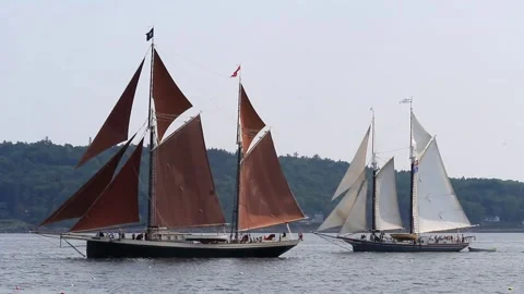 Tall Ship Windjammer Parade Stock Footage 172608934