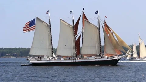 Tall Ship Windjammer Parade Stock Footage 172608939