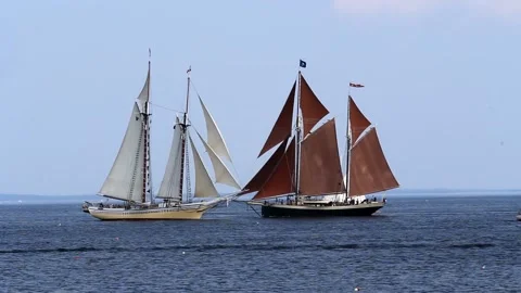 Tall Ship Windjammer Parade Stock Footage 172609172