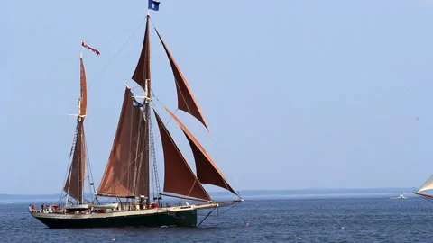 Tall Ship Windjammer Parade Stock Footage 172609384