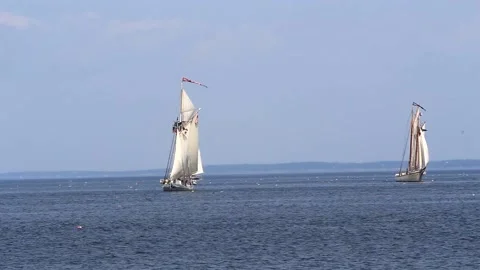 Tall Ship Windjammer Parade Stock Footage 172609386