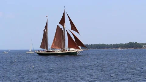 Tall Ship Windjammer Parade Stock Footage 172609387