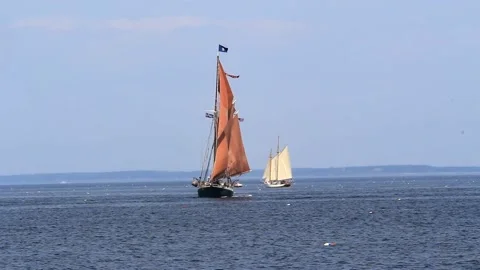 Tall Ship Windjammer Parade Stock Footage 172609392