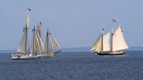 Tall Ship Windjammer Parade Stock Footage 172609612