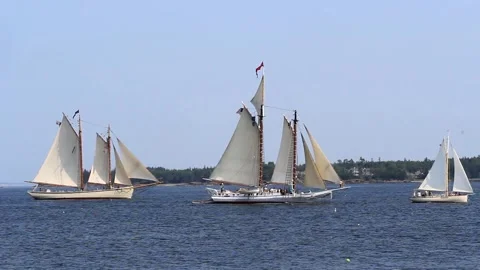 Tall Ship Windjammer Parade Stock Footage 172609752