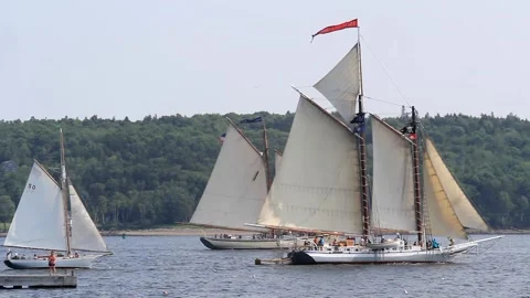 Tall Ship Windjammer Parade Stock Footage 172609753