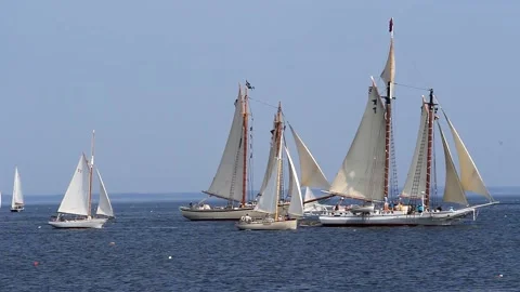 Tall Ship Windjammer Parade Stock Footage 172609757