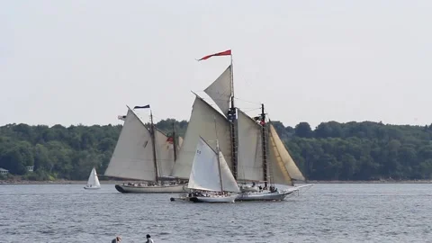 Tall Ship Windjammer Parade Stock Footage 172609935