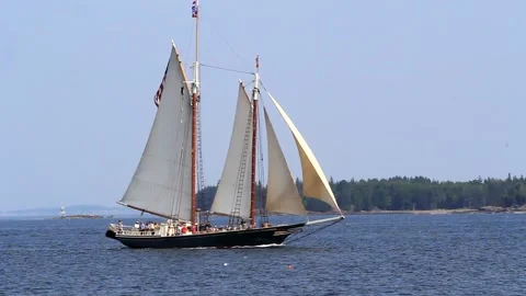 Tall Ship Windjammer Parade Stock Footage 172610002