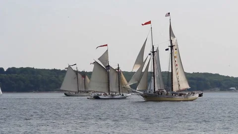 Tall Ship Windjammer Parade Stock Footage 172610096