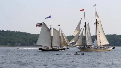 Tall Ship Windjammer Parade Stock Footage 172610097