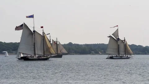 Tall Ship Windjammer Parade Stock Footage 172610102