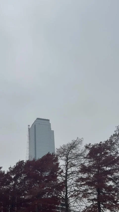 Tall Skyscraper Behind Autumn Trees on Gray Day Stock Footage 344593512