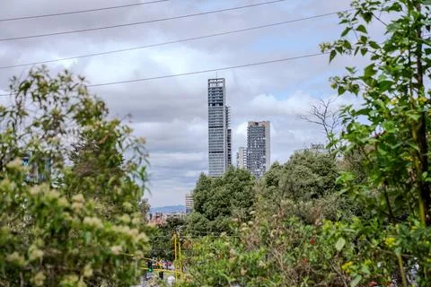 Tall Skyscraper Seen Through Trees in Urban Landscape Stock Photos