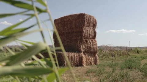 A tall stack of hay bales sits in an open rural field, surrounded by dry grass Video stock 329716673