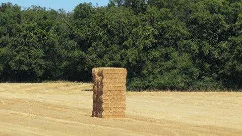 A tall stack of rectangular hay bales stands alone in a recently harvested Stock Footage 346715635